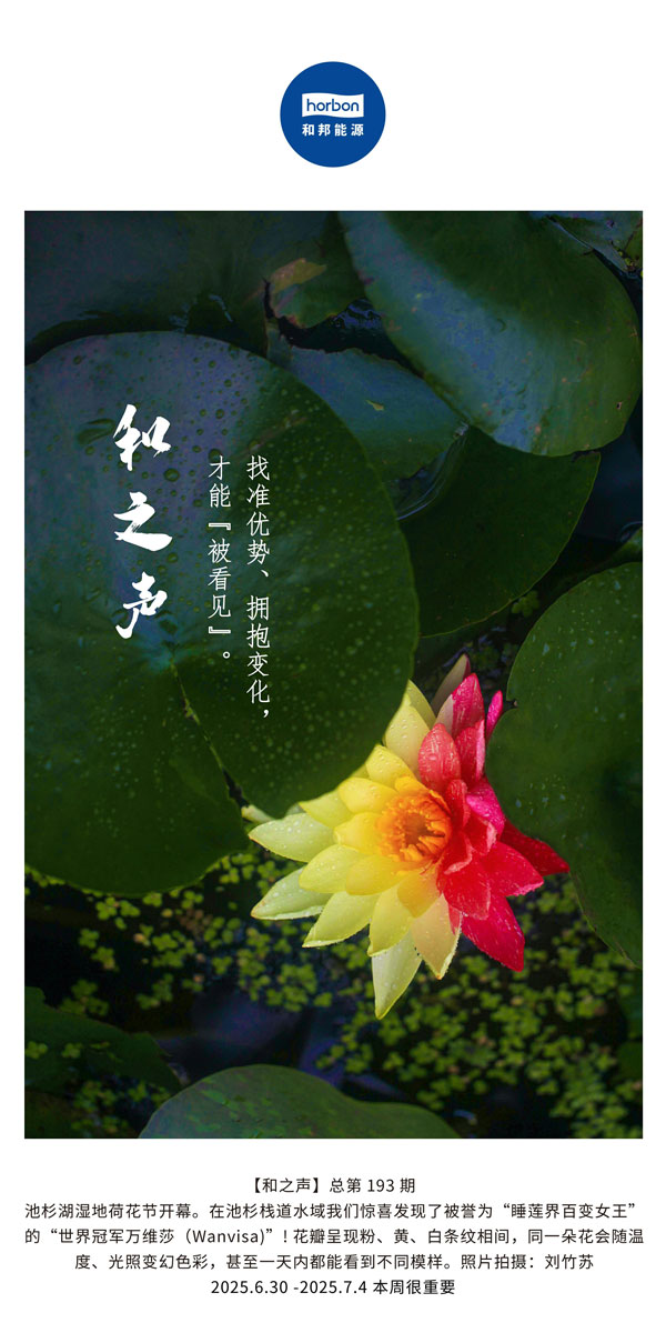 【和之声】找准优势、拥抱变动，能力“被看见”。(总第193期）--2025.6中文导出季度推送用.jpg