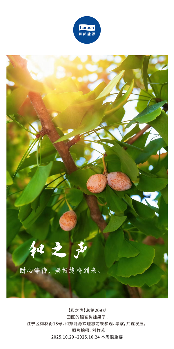 【和之声】耐心期待，美好终将到来。-(总第209期）2025.10.20中文导出季度推送用.jpg
